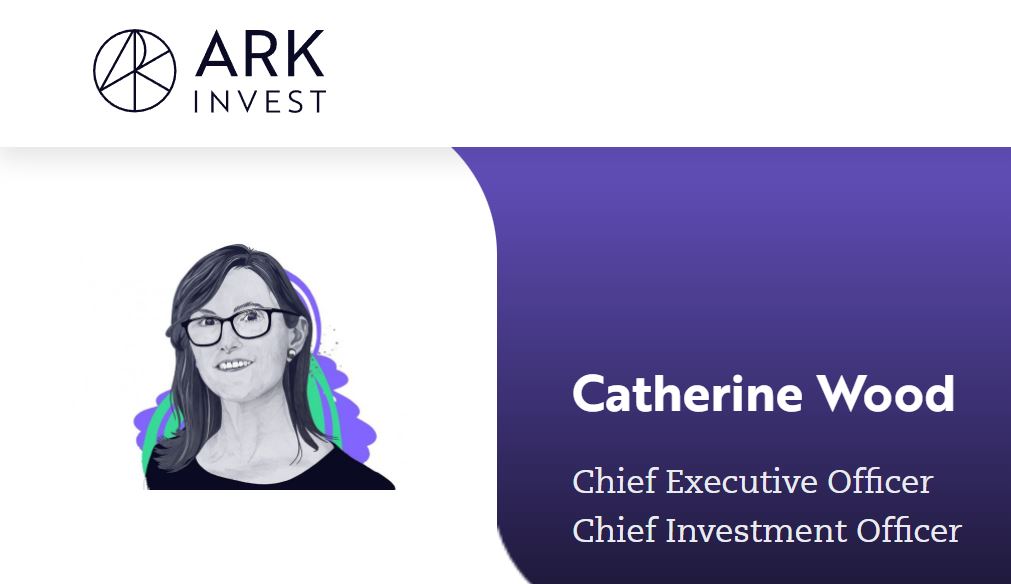 Cathi Wood Ark Invest