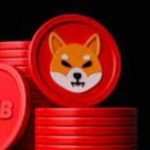Shiba-Inu