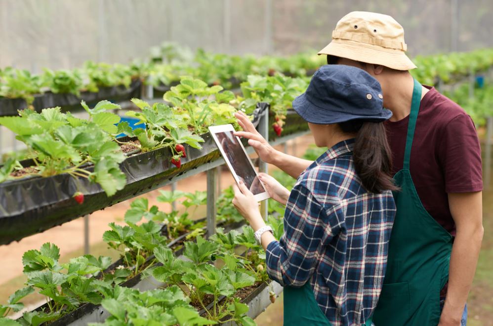 7 Vertical Farming Aktien: Investiere jetzt in die Zukunft der Landwirtschaft - Trendbetter.de