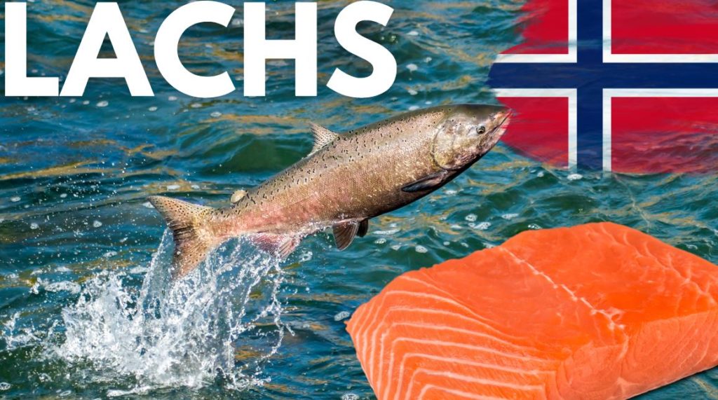Lachs Aktien Norwegen Steuer