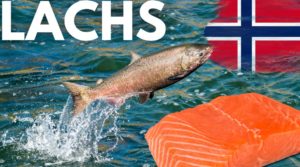 Lachs Aktien Norwegen Steuer
