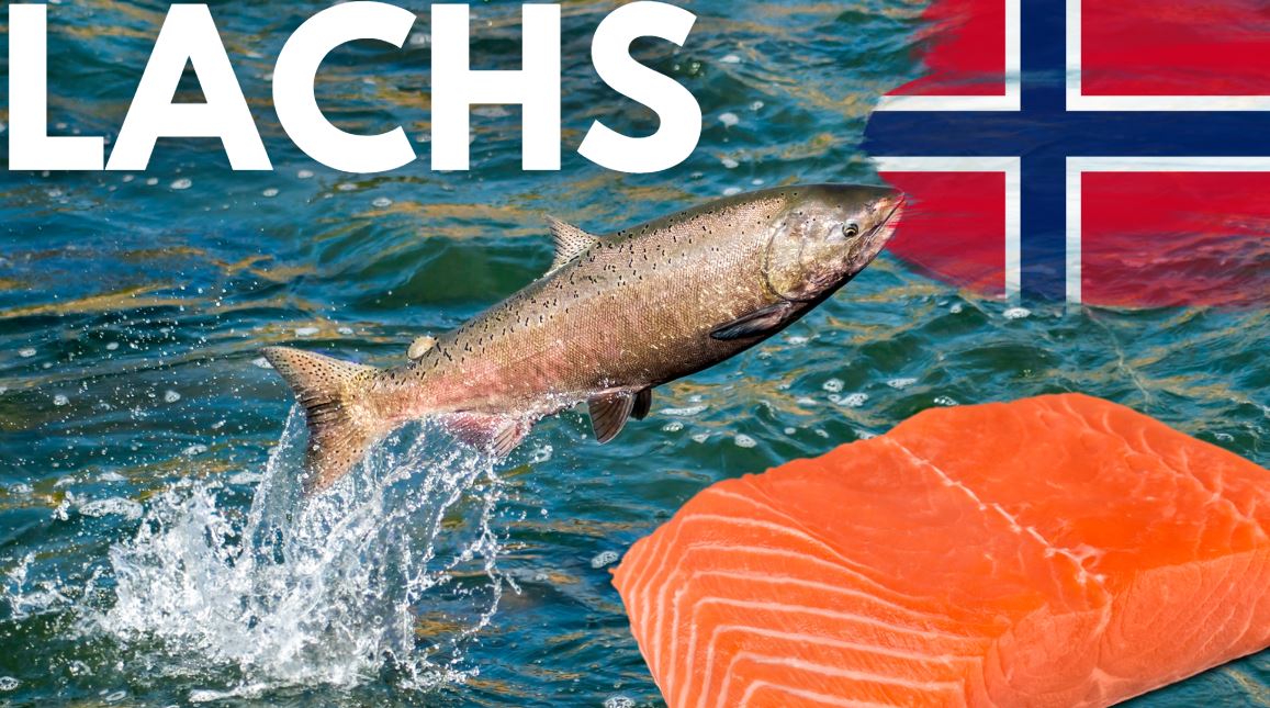 Lachs Aktien Norwegen Steuer