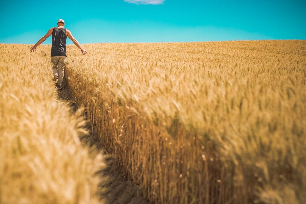 Die 10 besten Getreide-Aktien und ETFs: Top-Investitionen für Dein Portfolio! 🌾📈 - Trendbetter.de